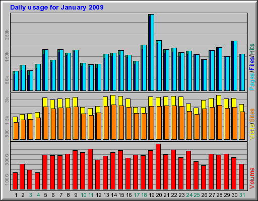 Daily usage for January 2009