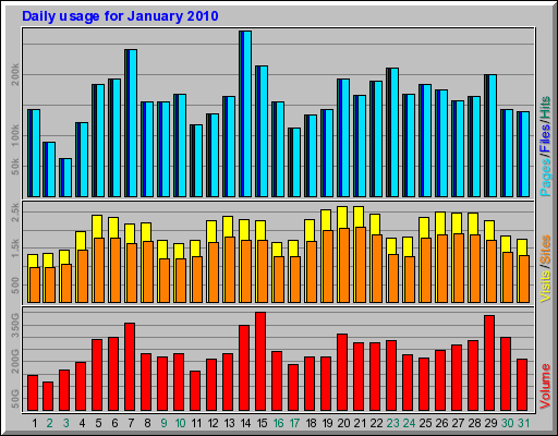 Daily usage for January 2010