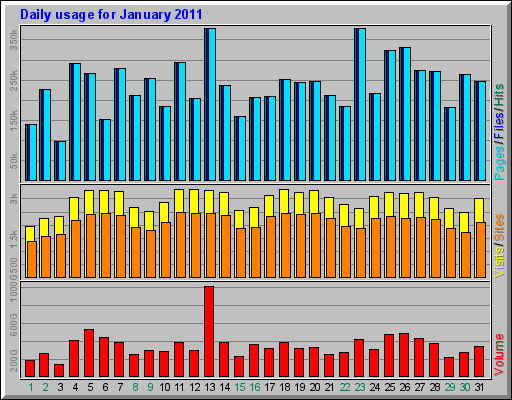 Daily usage for January 2011