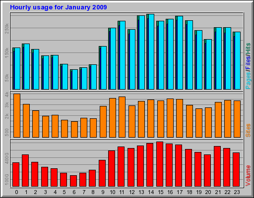 Hourly usage for January 2009