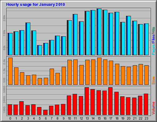 Hourly usage for January 2010