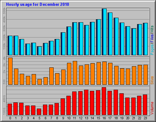 Hourly usage for December 2010