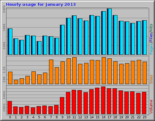 Hourly usage for January 2013