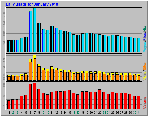 Daily usage for January 2010