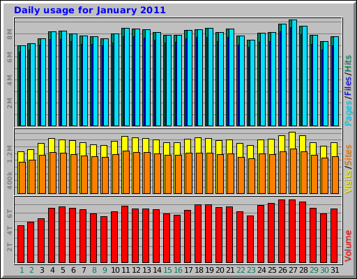 Daily usage for January 2011