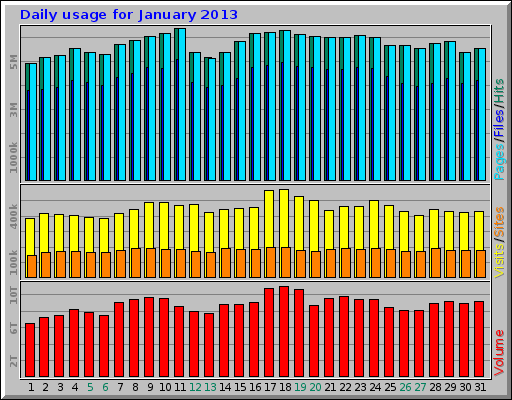 Daily usage for January 2013