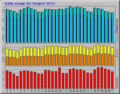 Daily usage for August 2013