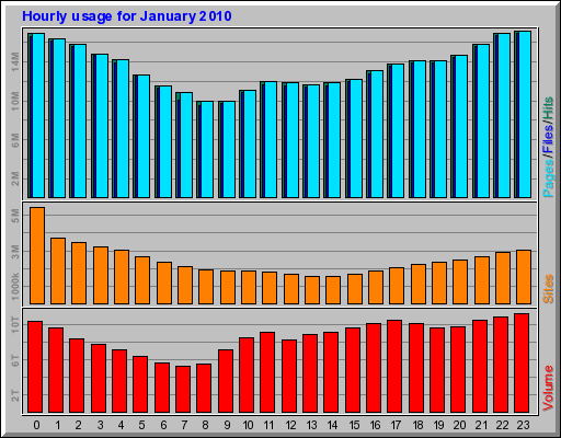 Hourly usage for January 2010