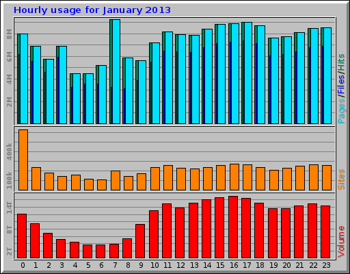 Hourly usage for January 2013