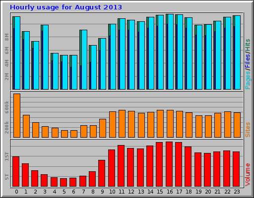 Hourly usage for August 2013